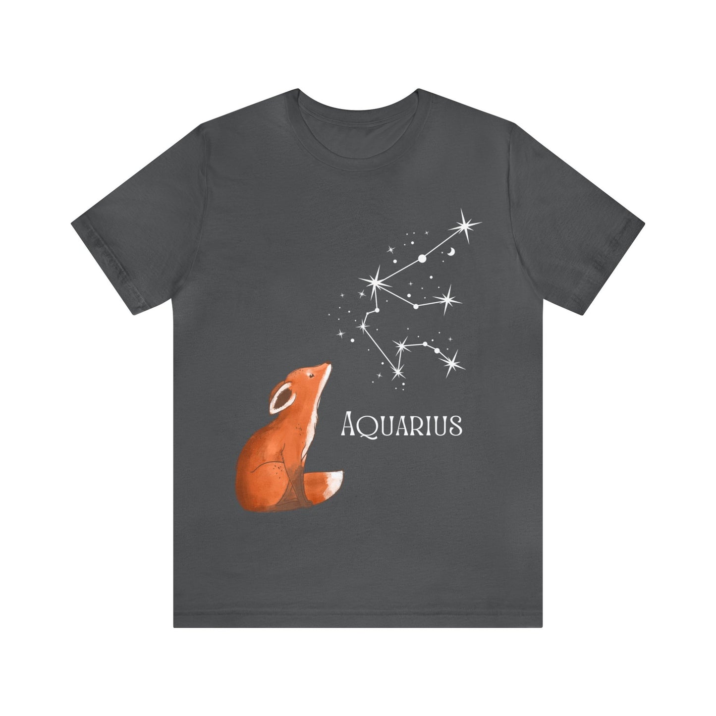 Aquarius Unisex Jersey Short Sleeve Tee