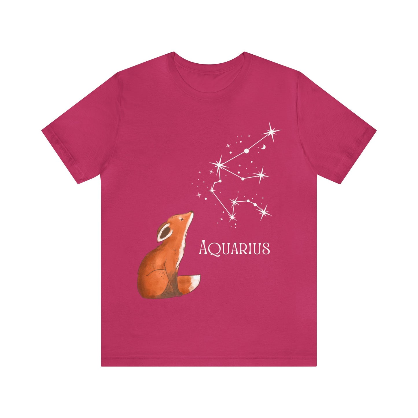 Aquarius Unisex Jersey Short Sleeve Tee